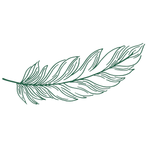 Plume